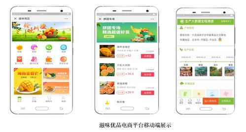 智慧農業新篇章 1.28億元數字化服務，守護農產品安全生命線