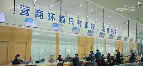 數字服務三連擊 便民暖心、助企惠企，共筑經濟發展新引擎